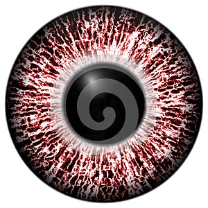Alergic eye 3d red texture with black fringe