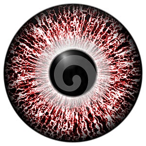 Alergic eye 3d red texture with black fringe