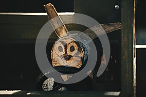 Alert and attentive driver behind the wheel of a wooden truck