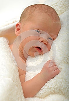 Alert newborn baby or infant