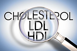 Alertness about High and Low Density Lipoprotein - HDL and LDL blood cholesterol levels concept image seen through a magnifying photo