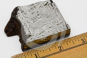 Aletai Meteorite Fragment