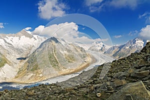 Aletsch glacier in Alps, summer in mountains