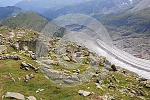 Aletschglacier. Switzerland.