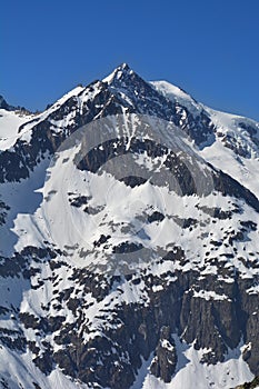 Aletschhorn and Geisshorn