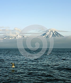 Aleutian islands