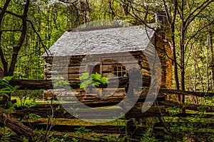 Alex Cole Cabin in the Smokies photo