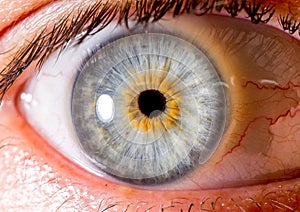 close up eye. close up Iris. very Close macro shot of an eyeball. very pale blue and orange photo