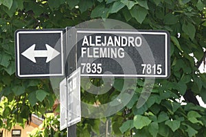 Alexander Fleming