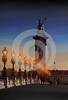 The Alexander III Bridge across Seine river in Paris, France at night