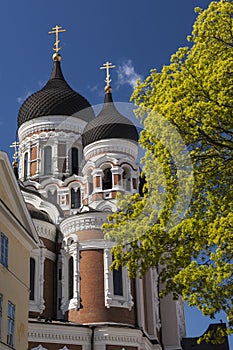 Alexander Nevski Cathedral, Tallin