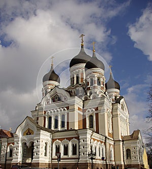 Alexander Nevsky's Cathedral