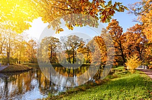 Alexander park in autumn foliage, Pushkin Tsarskoe Selo, Saint Petersburg, Russia