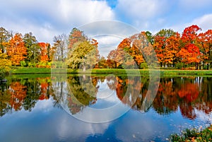 Alexander park in autumn foliage, Pushkin Tsarskoe Selo, St. Petersburg, Russia