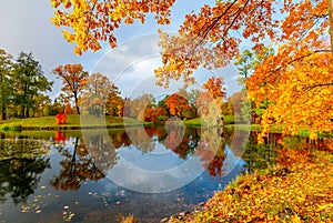 Alexander park in autumn foliage, Pushkin Tsarskoe Selo, St. Petersburg, Russia