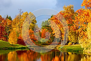 Alexander park in autumn foliage, Pushkin Tsarskoe Selo, St. Petersburg, Russia