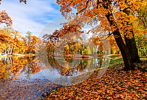 Alexander park in autumn, Pushkin Tsarskoe Selo, Saint Petersburg, Russia