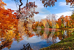 Alexander park in autumn, Pushkin Tsarskoe Selo, Saint Petersburg, Russia