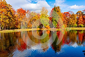 Alexander park in autumn, Pushkin Tsarskoe  Selo, Saint Petersburg, Russia