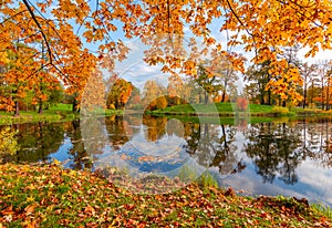 Alexander park in autumn, Pushkin Tsarskoe Selo, Saint Petersburg, Russia