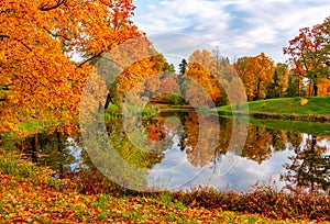Alexander park in autumn, Pushkin Tsarskoe Selo, Saint Petersburg, Russia