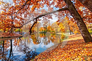 Alexander park in fall, Pushkin Tsarskoe Selo, Saint Petersburg, Russia