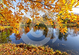 Alexander park in fall, Pushkin Tsarskoe Selo, St. Petersburg, Russia