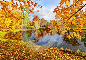 Alexander park in fall, Pushkin Tsarskoe Selo, St. Petersburg, Russia