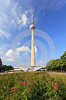 Alexanderplatz - Berlin