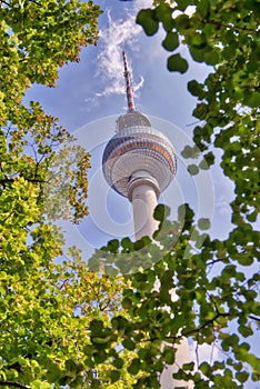 Alexanderplatz Tower in Berlin through tree leaves