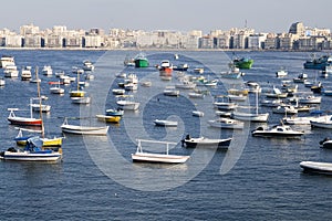 Alexandria coastline - Egypt photo