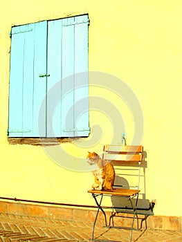 Alexandria in egypt: the street and the building