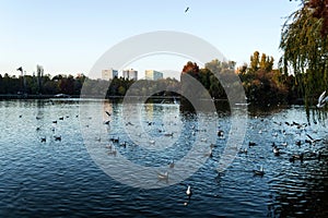 Alexandru Ioan Cuza Park. Bucharest, Romania