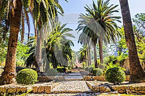 Alfabia gardens