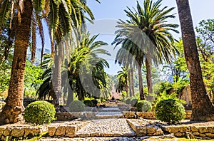 Alfabia gardens photo