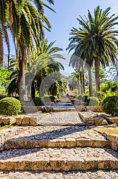 Alfabia gardens in Mallorca photo