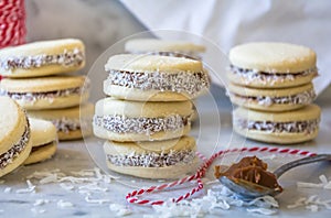 `Alfajores` delicious traditional Argentine sandwich cookies filled with caramelized milk - `dolce de leche`, and shredded coconut