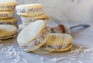 `Alfajores` delicious traditional Argentine sandwich cookies filled with caramelized milk - `dolce de leche`, and shredded coconut