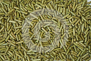 alfalfa close-up, horizontal orientation
