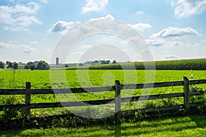 Alfalfa Field and Fence