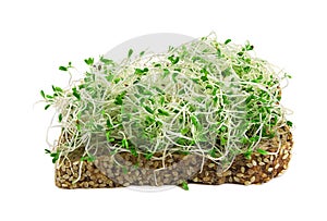 Alfalfa sprouts