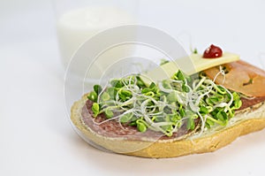 Alfalfa sprouts sandwich