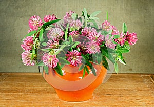 Alfalfa. Still life. Bouquet of meadow flowers