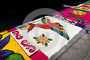 Alfombra, sawdust carpet with parrot on street made for Semana Santa, Easter, Santiago Atitlan, Guatemala photo