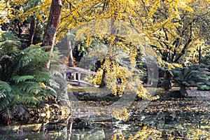 Alfred Nicholas Memorial Gardens in Australia