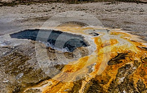 Algae-bacterial mats. Hot thermal spring, hot pool in the Yellowstone NP