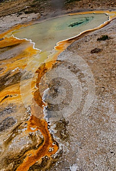 Algae-bacterial mats. Hot thermal spring, hot pool in the Yellowstone NP