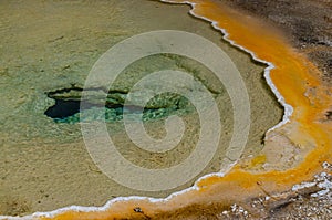 Algae-bacterial mats. Hot thermal spring, hot pool in the Yellowstone NP