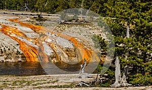 Algae-bacterial mats. Hot thermal spring, hot pool in the Yellowstone NP