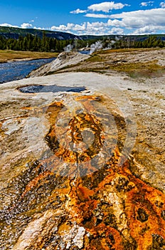 Algae-bacterial mats. Hot thermal spring, hot pool in the Yellowstone NP